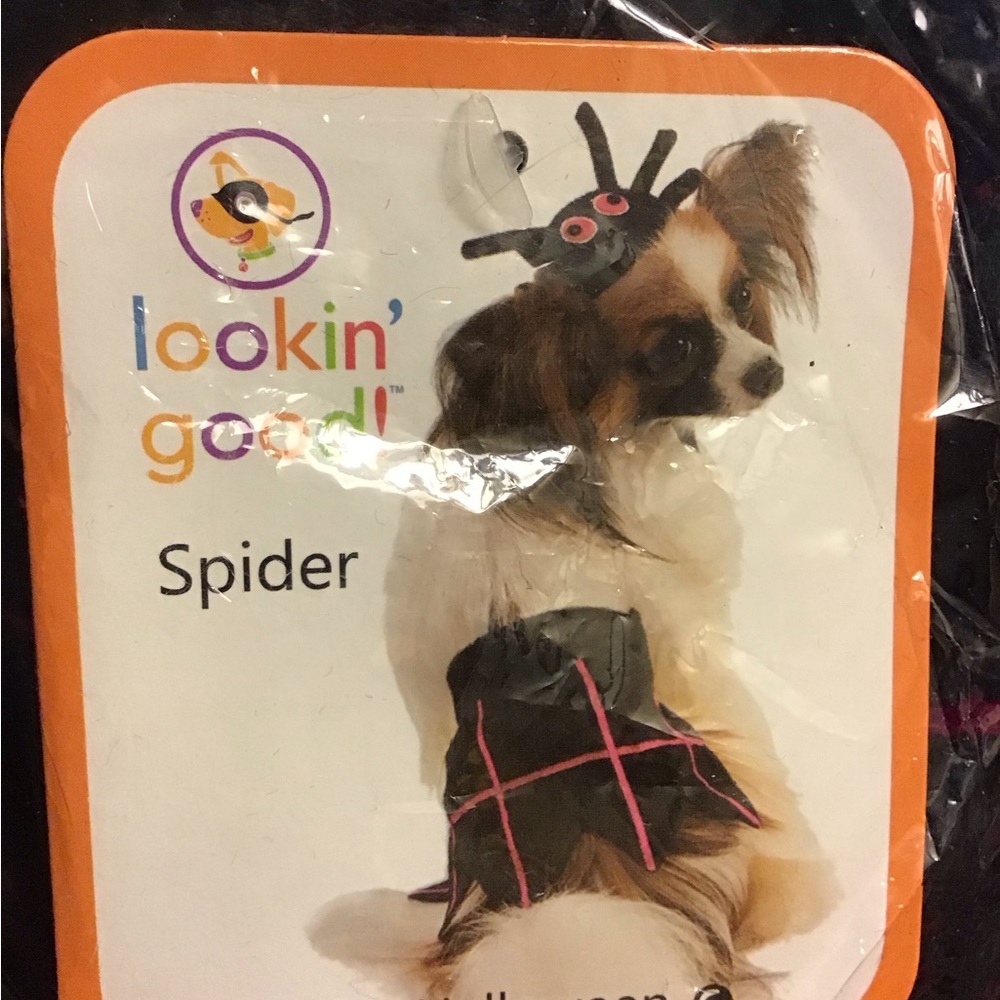 LOOKIN GOOD Dog Halloween spider Costume Size XS/S NWT Dress up trick or treat